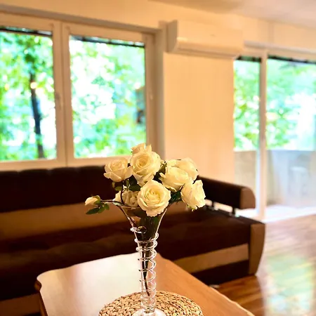 Spacious Two-bedroom With Free Parking Sarajevo