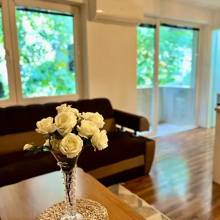 Apartment Spacious Two-bedroom With Free Parking